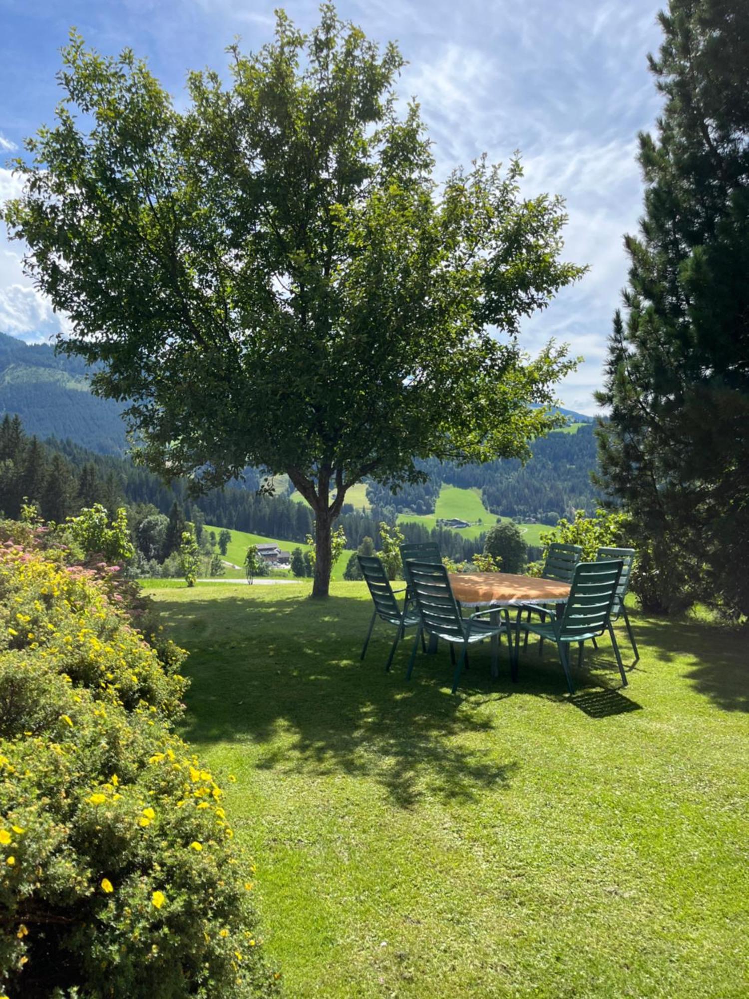 Hornergut Apartment Altenmarkt im Pongau Exterior photo